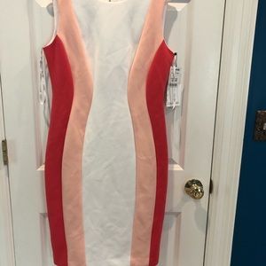 Calvin Klein Pink And White Scuba Dress